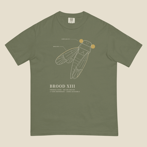 Brood XIII Tee, front, Moss: a cicada drawn close and at an angle in Lemont Stone line, BROOD XIII below.