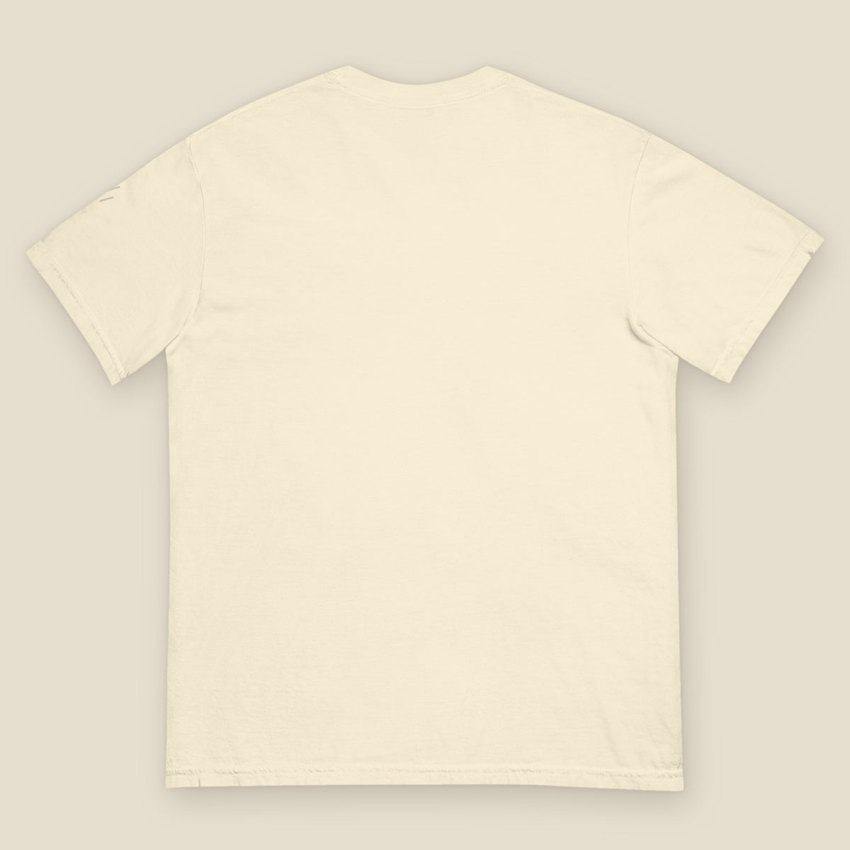 January Tee, back, Lemont Stone (Ivory): plain back.