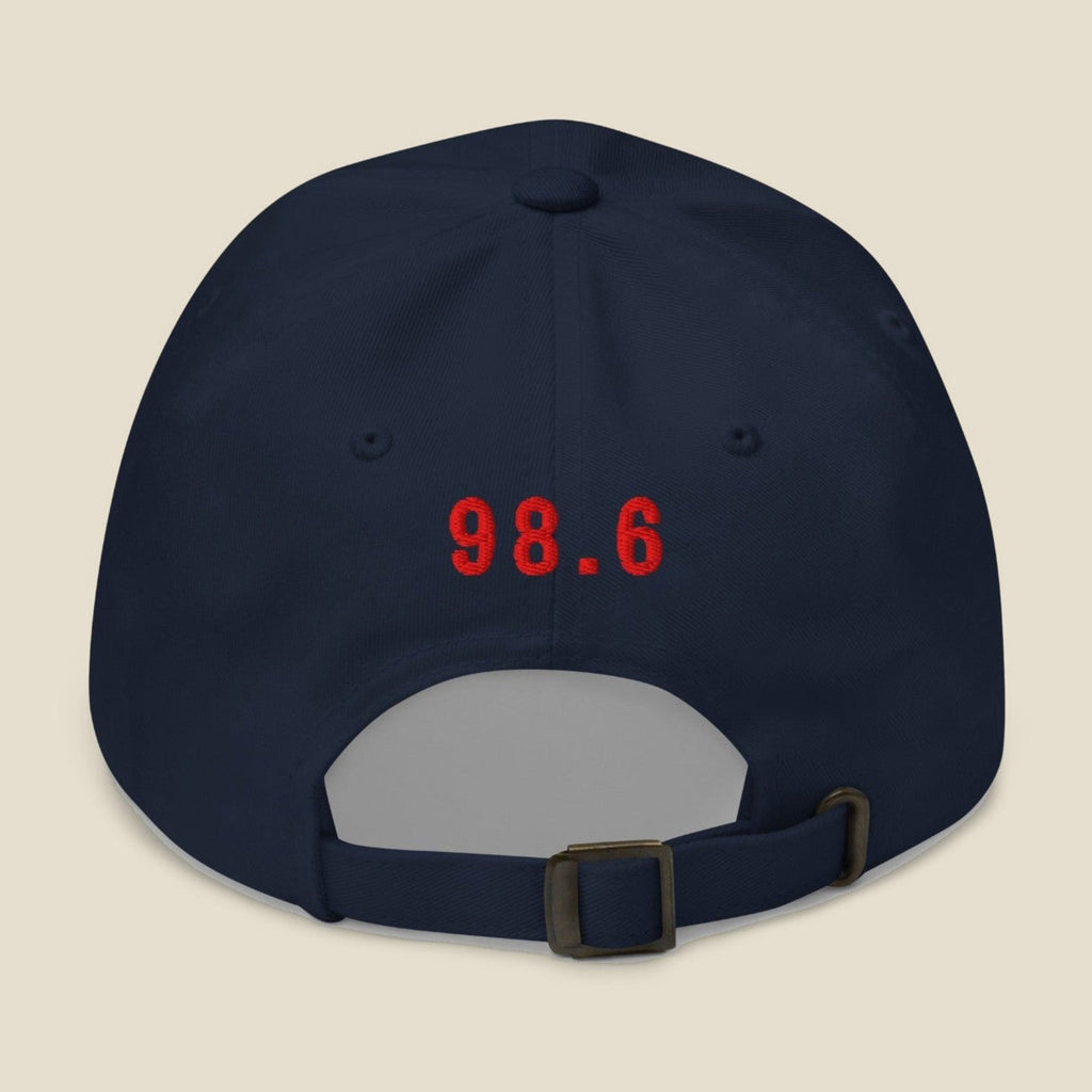 Navy | Back | Sick Day Dad Hat