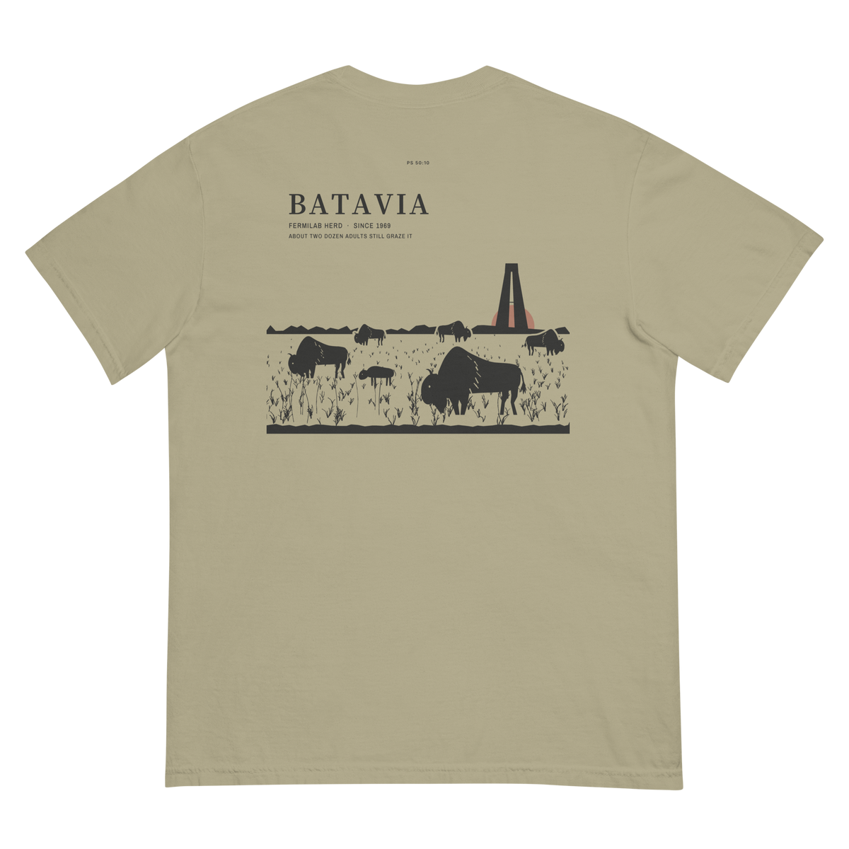 Khaki | Back | Fermilab Bison Tee