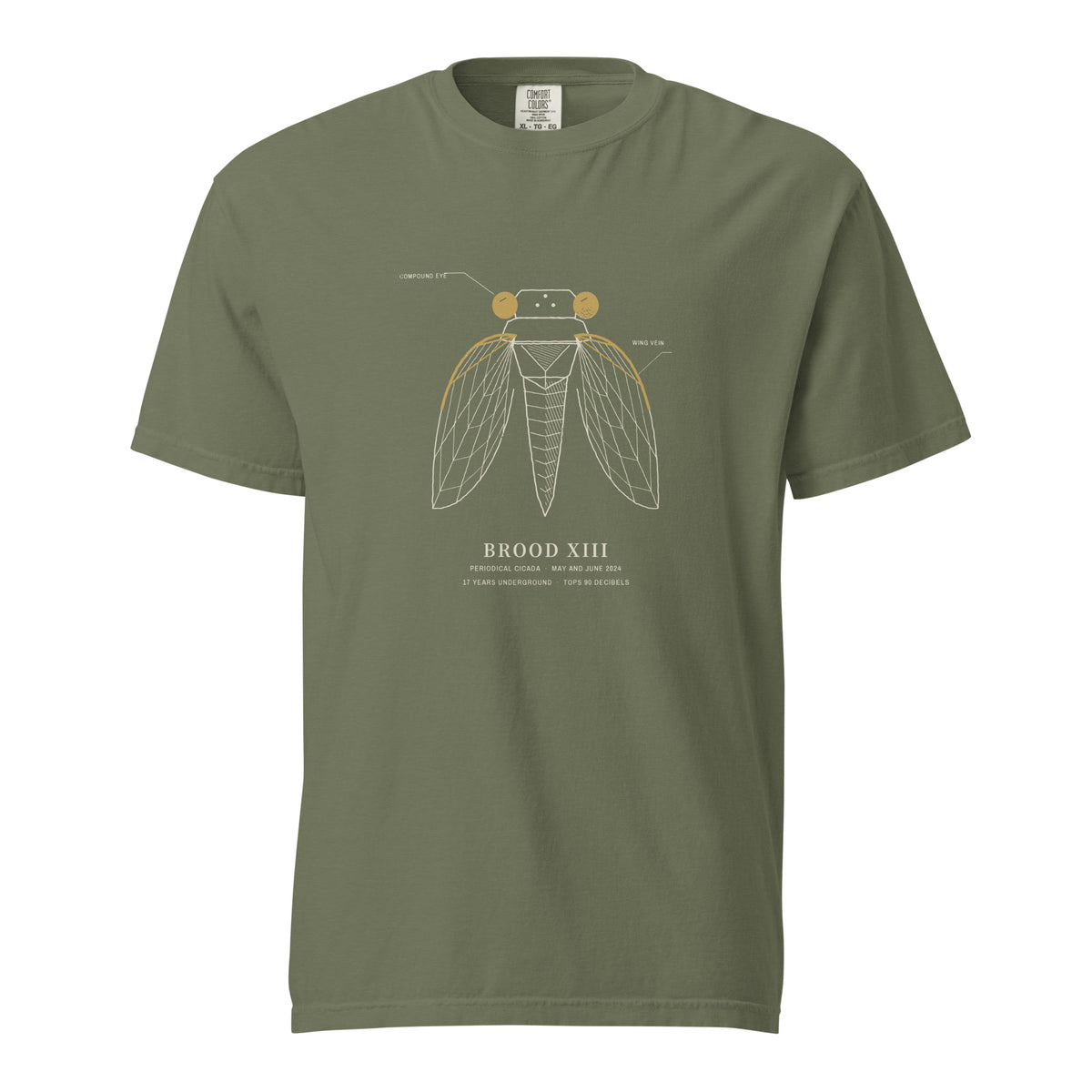 Front view: Busse Woods moss green tee with a field-guide drawing of a periodical cicada in cream line, its compound eyes and leading wing vein in mustard, captioned Brood XIII, May and June 2024, 17 years underground, tops 90 decibels