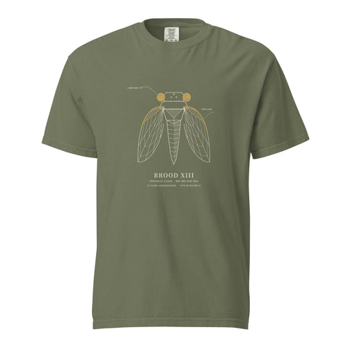 Front view: Busse Woods moss green tee with a field-guide drawing of a periodical cicada in cream line, its compound eyes and leading wing vein in mustard, captioned Brood XIII, May and June 2024, 17 years underground, tops 90 decibels
