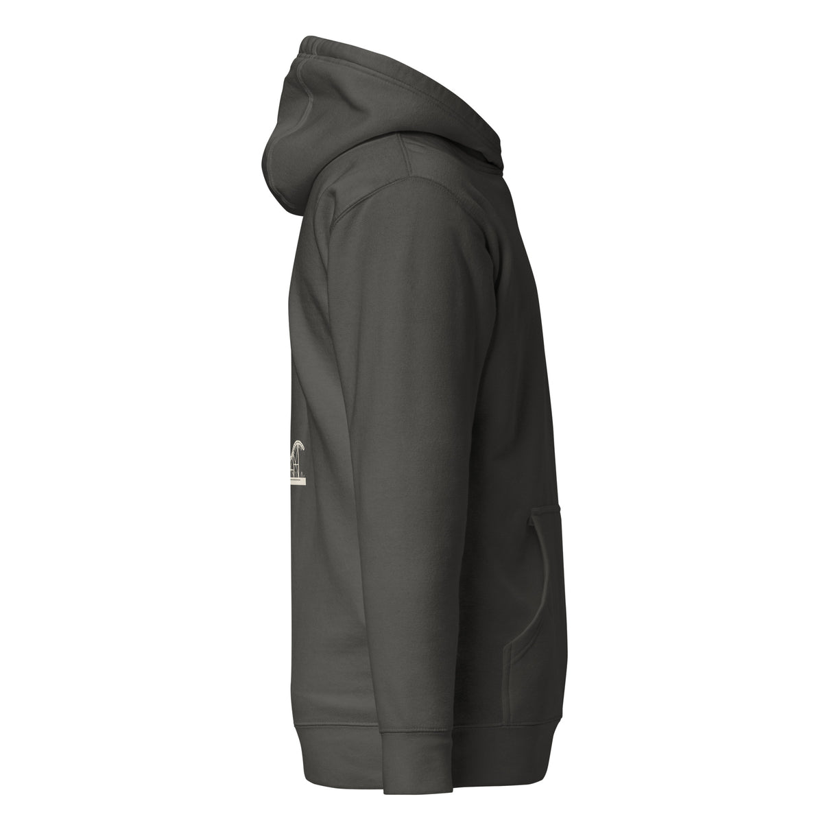 Belmont & Western hoodie, Vintage Black, right side: edge of the back roller coaster print